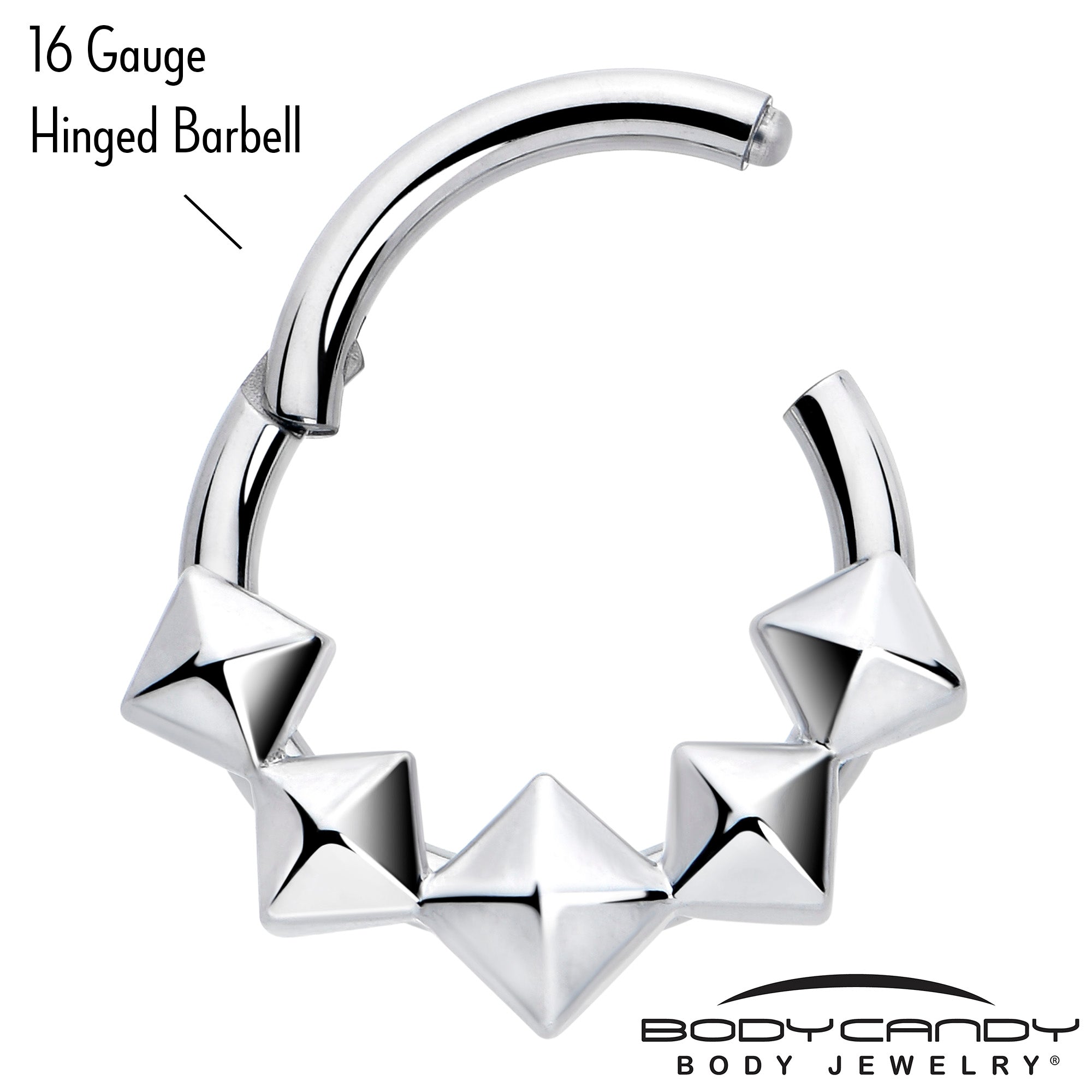 16G 5/16 3D Punk Style Hinged Segment Ring