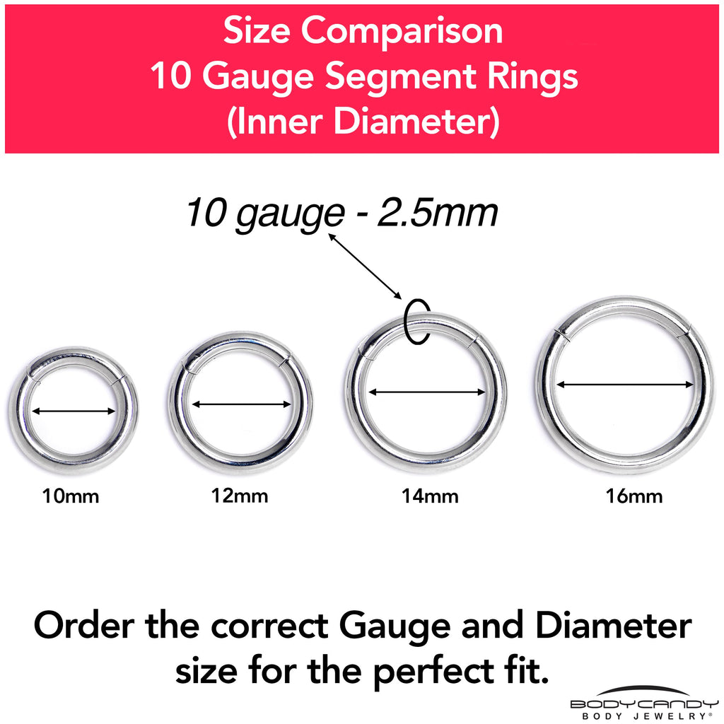 10G 9/16 316L Surgical Steel Precision Hinged Segment Hoop