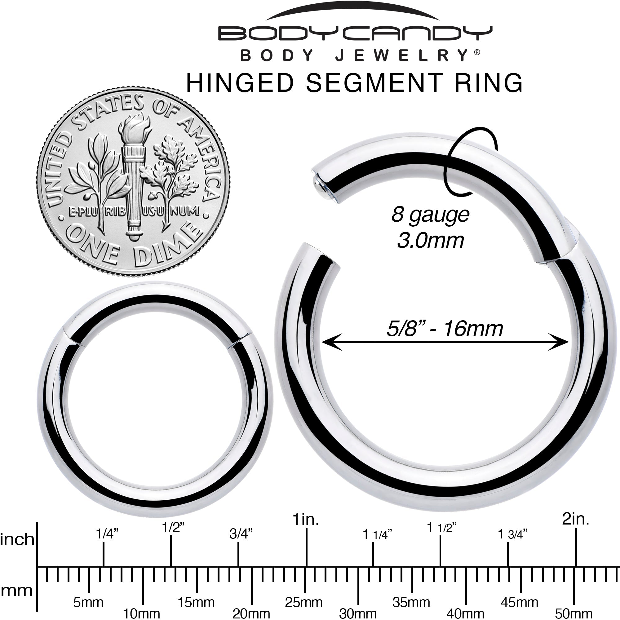 8G 5/8 316L Surgical Steel Precision Hinged Segment Hoop