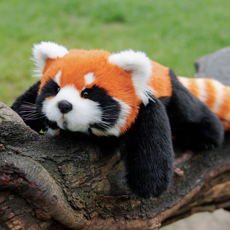 Red Panda Weighted Plush – Snuggle Toy for Relaxation