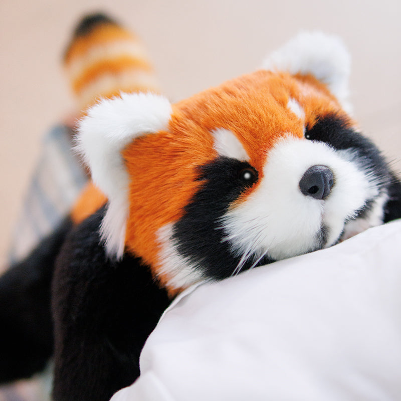 Red Panda Weighted Plush – Snuggle Toy for Relaxation
