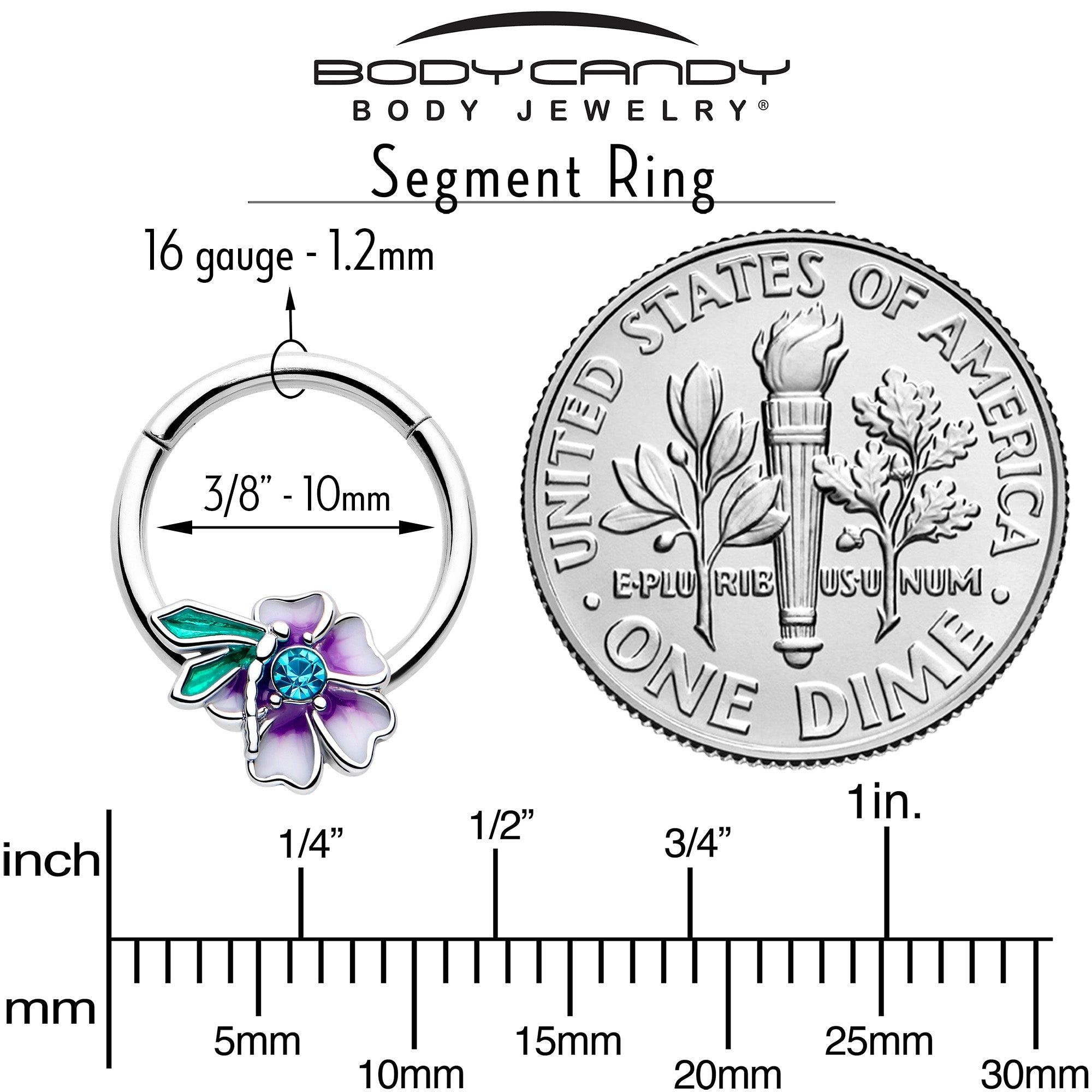 16G 3/8 Blue Gem Faerie Flower Purple Hinged Segment Ring