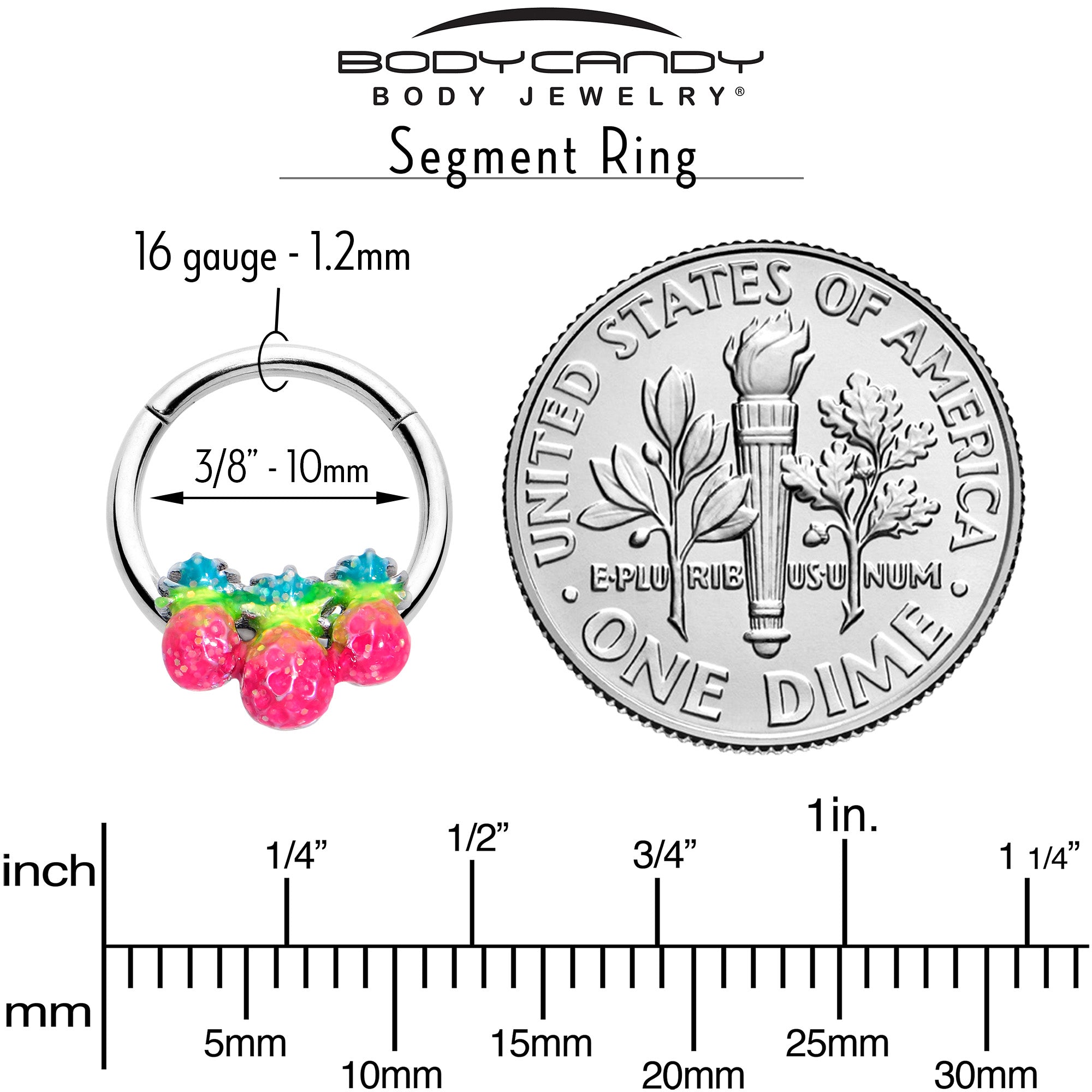 16G 3/8 Hot Tropical Pineapples Hinged Segment Ring