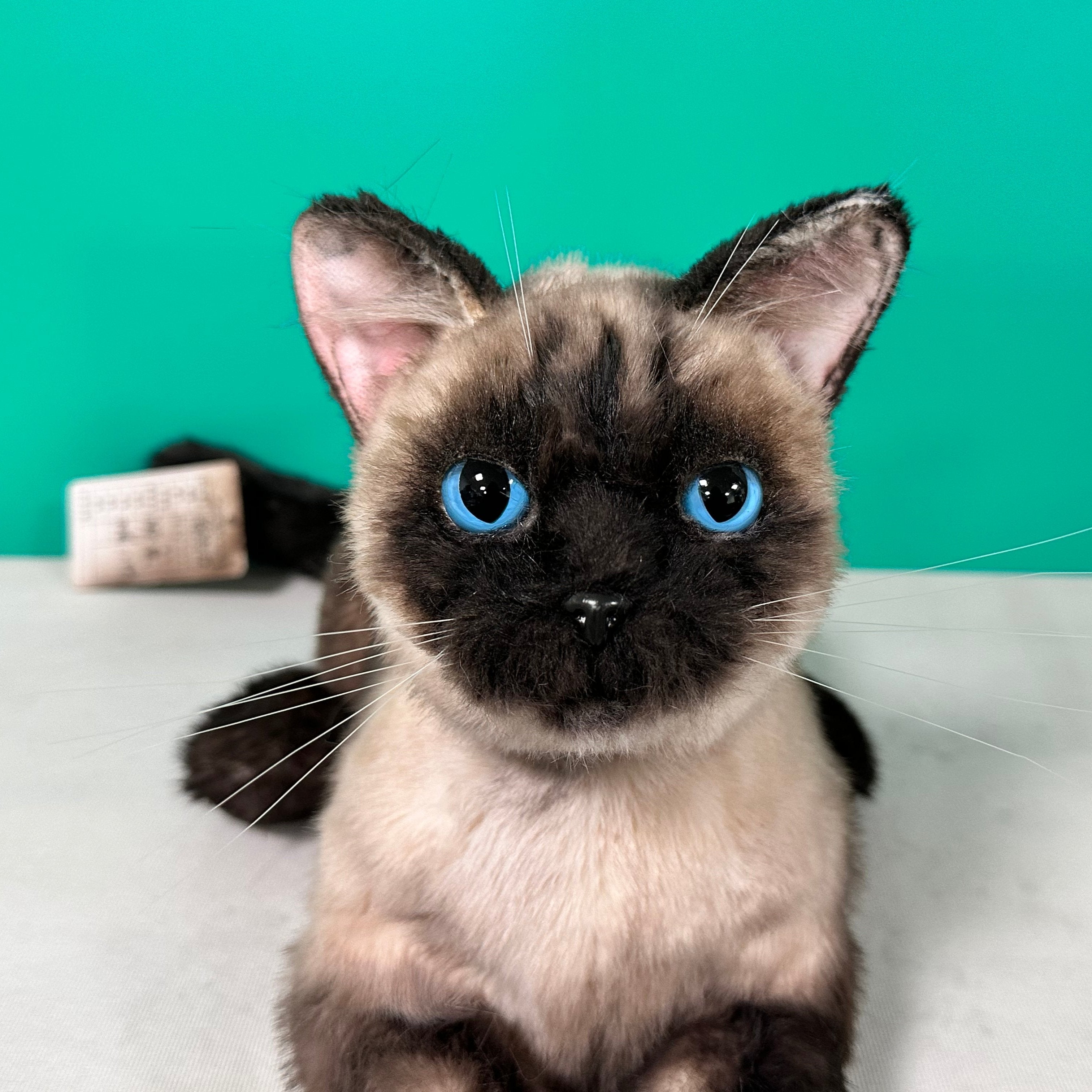 Plush Siamese Shorthair Cat-Weighted-Handmade Life-Size Companion & Pet Memorial