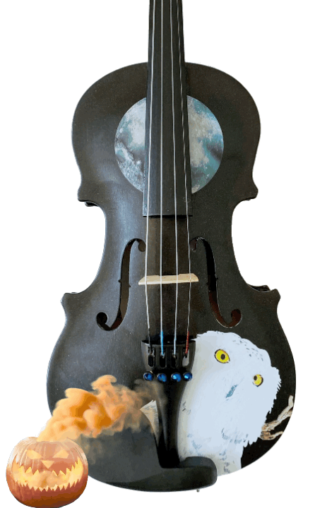 Mystic Owl Midnight Black Violin Outfit | Hand Applied Artwork & Bow