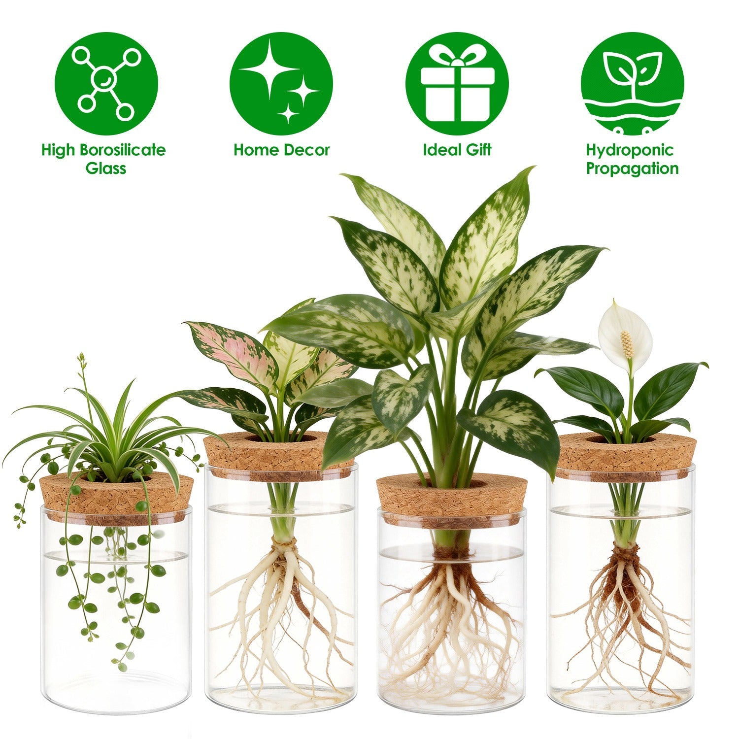 4Pack Glass Propagation Stations For Plants Indoor Glass Planters Hydroponic Plant Vases 2 Large 2 Small for Plant Cuttings Flower Arrangements