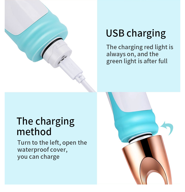 Rechargeable Rotating Bath Brush – 4 Heads, 2-Speed Body Scrubber