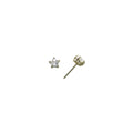 14k Yellow Gold .23ct Basket Set Star CZ Stud Earrings