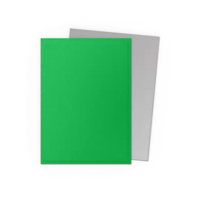 Dragon Shield:  Apple Green & Silver Dual Matte Sleeves (100)
