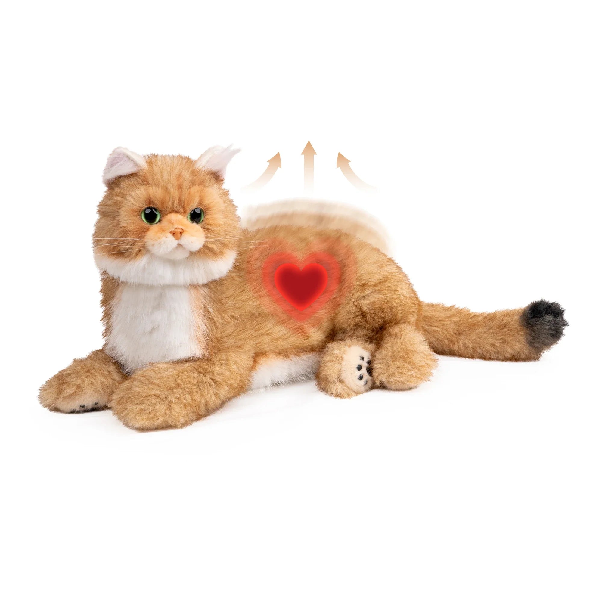 Percy 2.0 Golden British Short Hair Cat- Breathing  Heartbeat Pur,Voice Robonic Cat