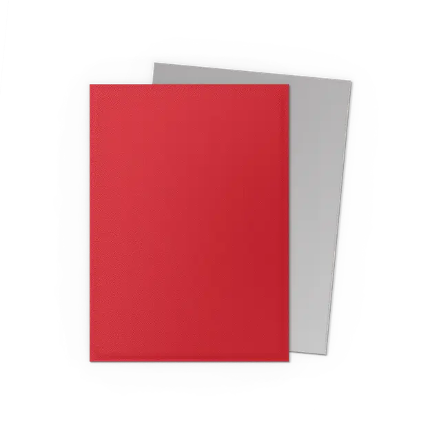 Dragon Shield: Crimson & Silver - Matte Dual Sleeves