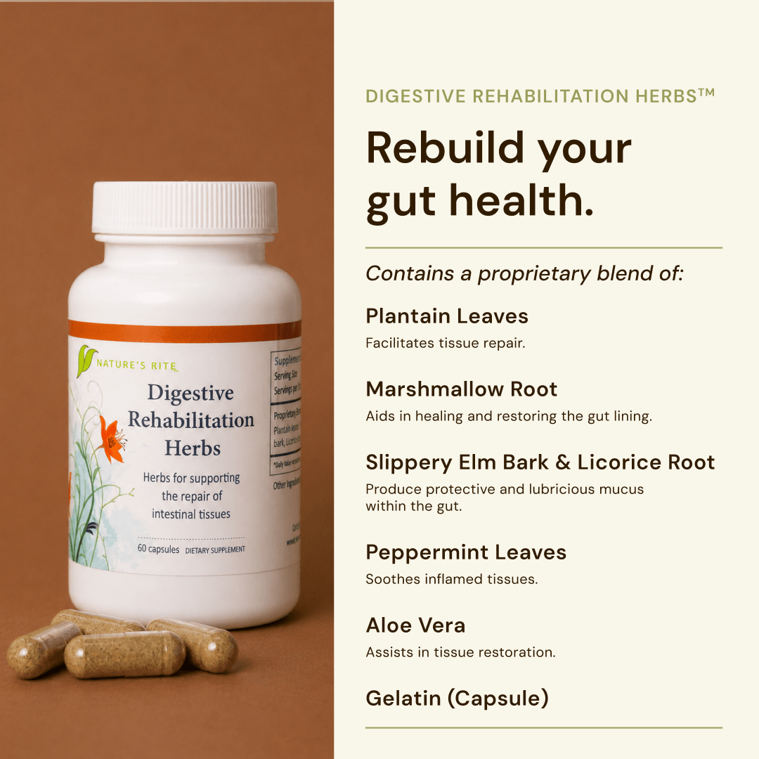 Digestive Rehabilitation Herbs
