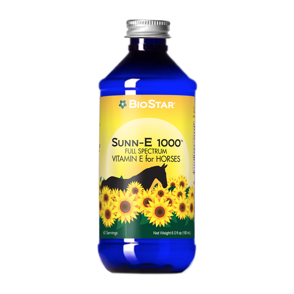 Sunn-E 1000