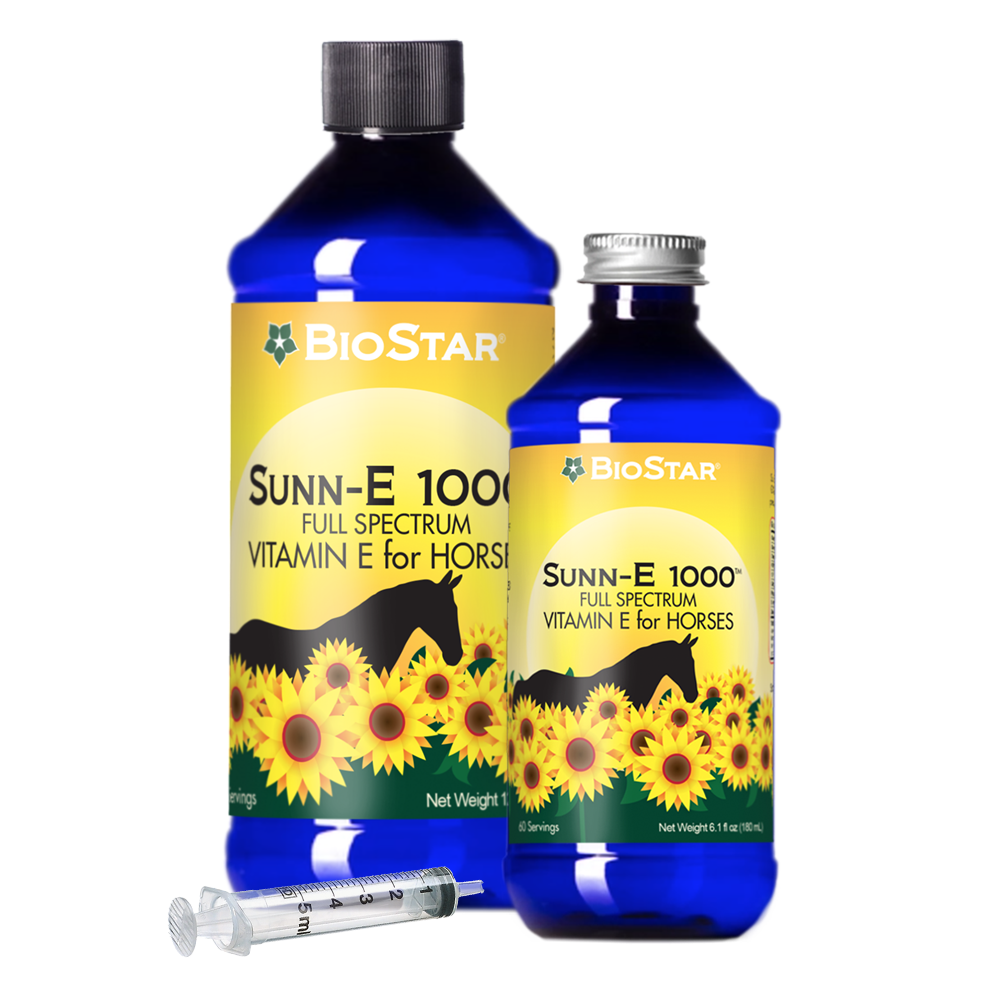 Sunn-E 1000