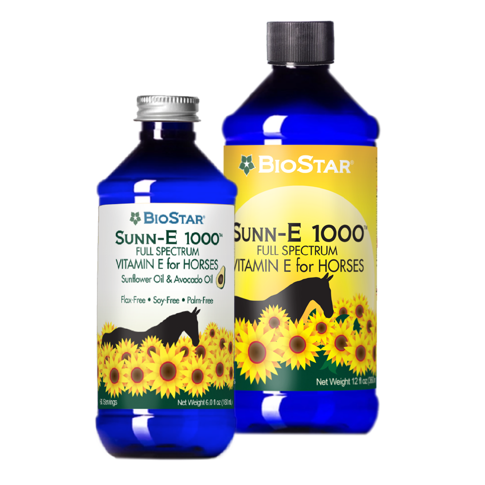Sunn-E 1000