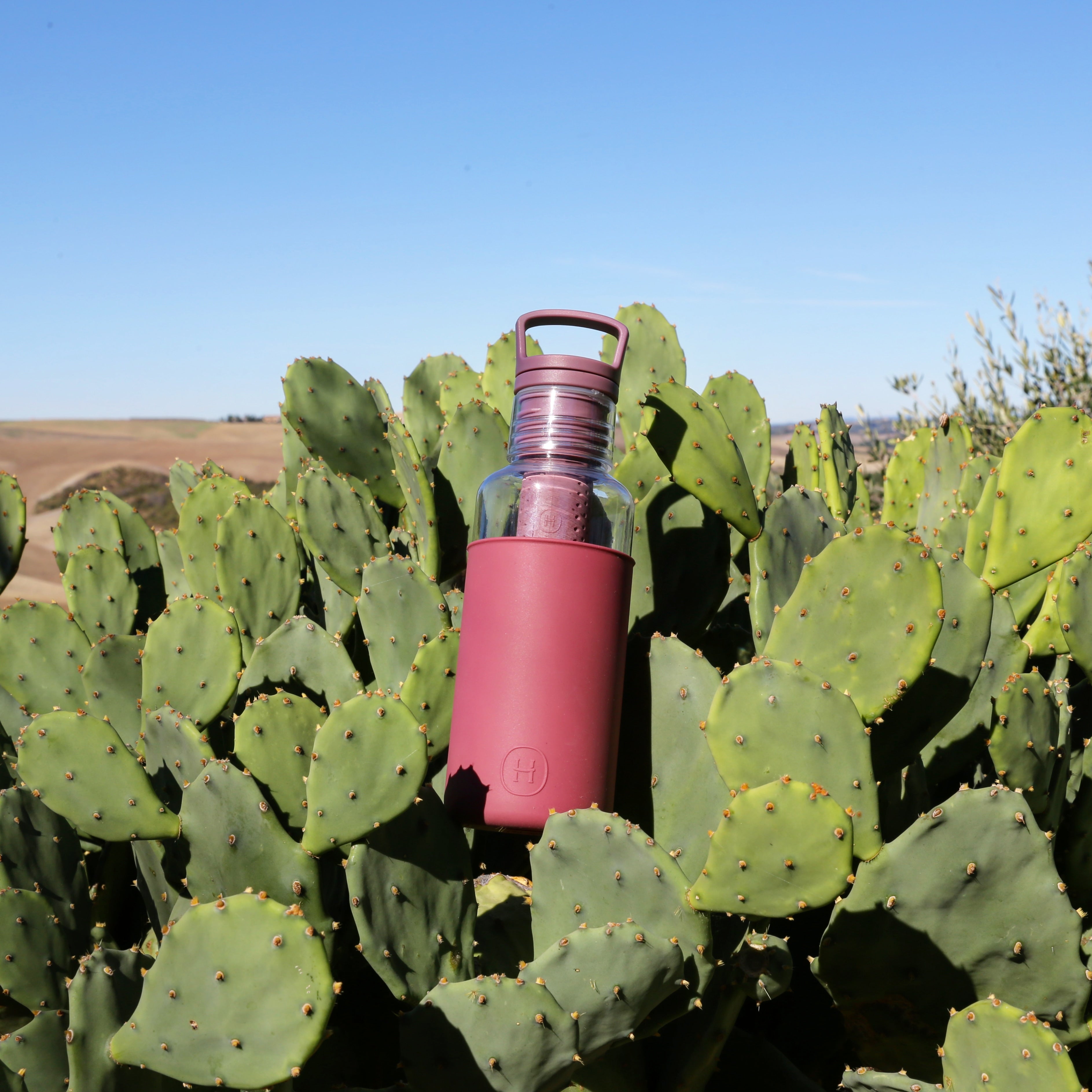 Clear-Wine Red 20 Oz