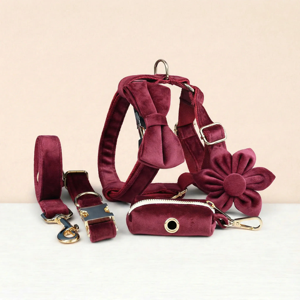 Red Wine Velvet Set