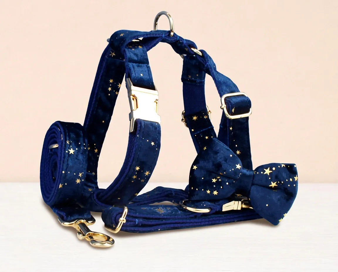 Dark Blue Velvet Set