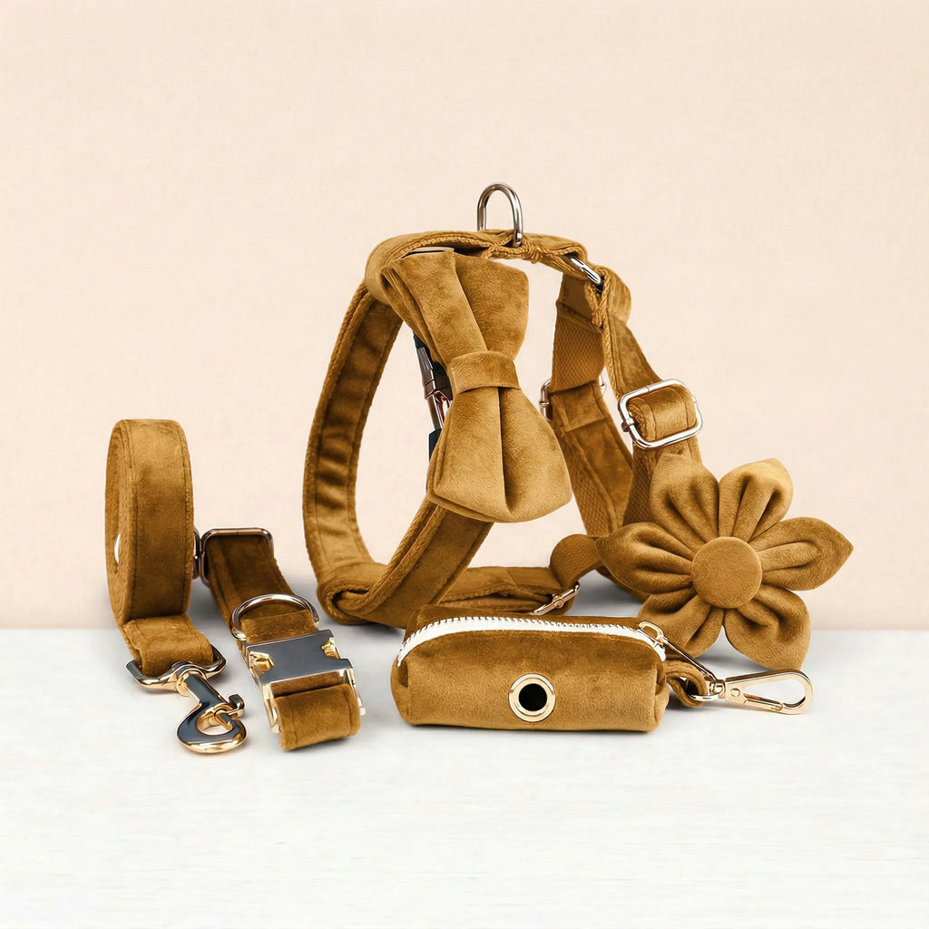 Light Coffee Velvet Set