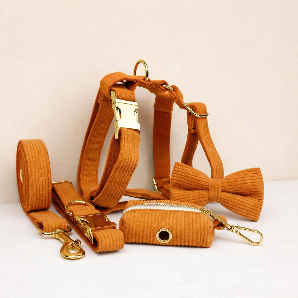 Orange Corduroy Set