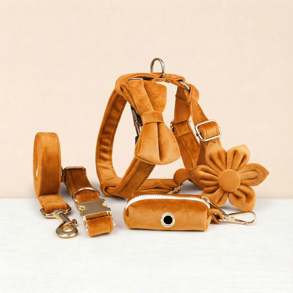 Orange Velvet Set