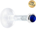 Solid 14K White Gold 2mm Genuine Blue Sapphire Bioplast Push in Labret