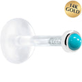 16G 1/4 Solid 14K White Gold 2mm Genuine Turquoise Bioplast Tragus Earring Stud