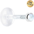 16G 1/4 Solid 14K White Gold 2mm Genuine Rainbow Moonstone Bioplast Cartilage Earring Stud