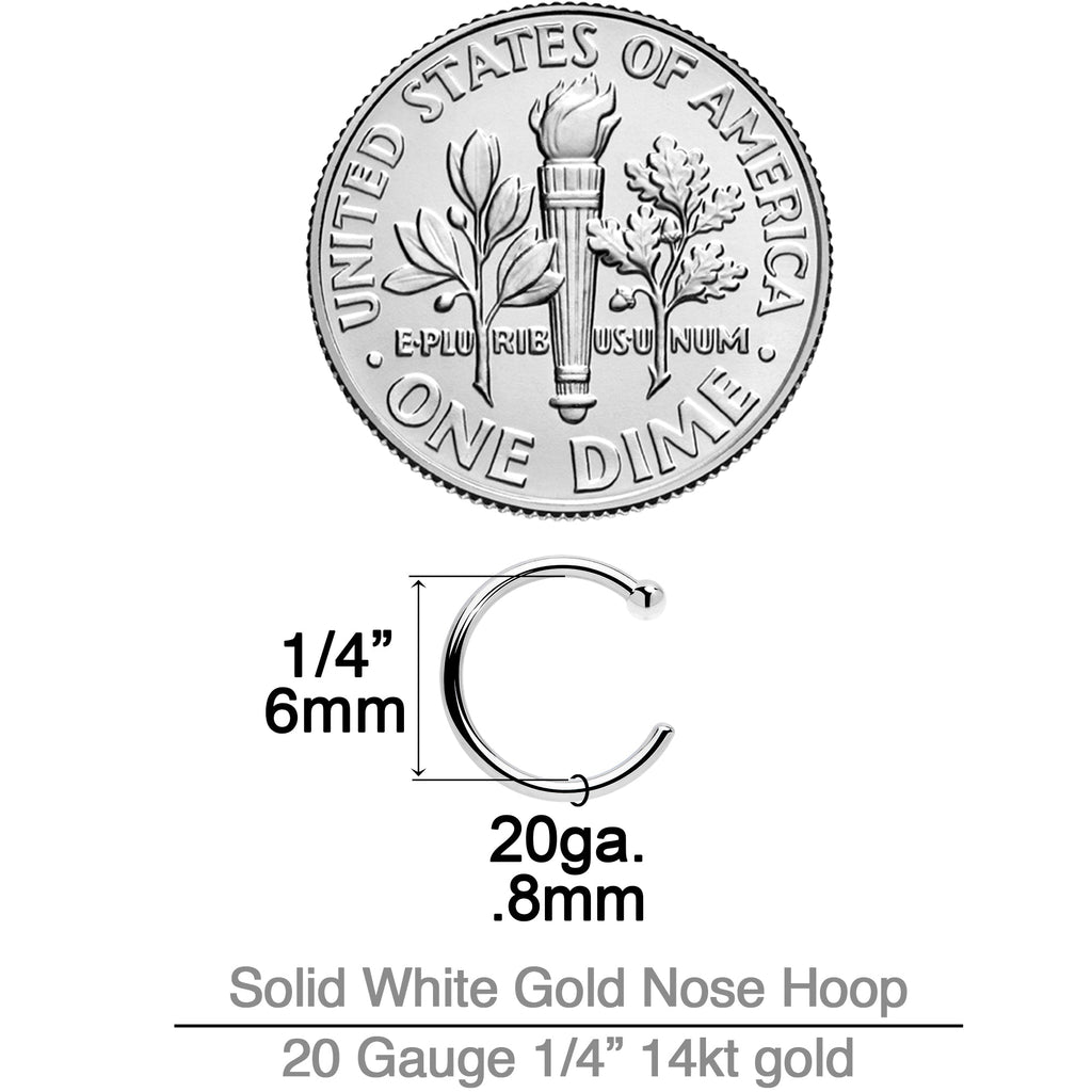 20G 1/4 14k Solid White Gold Nose Hoop