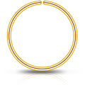 Single Hoop Nose 14k Yellow Gold Filled Nose Hoop Ring