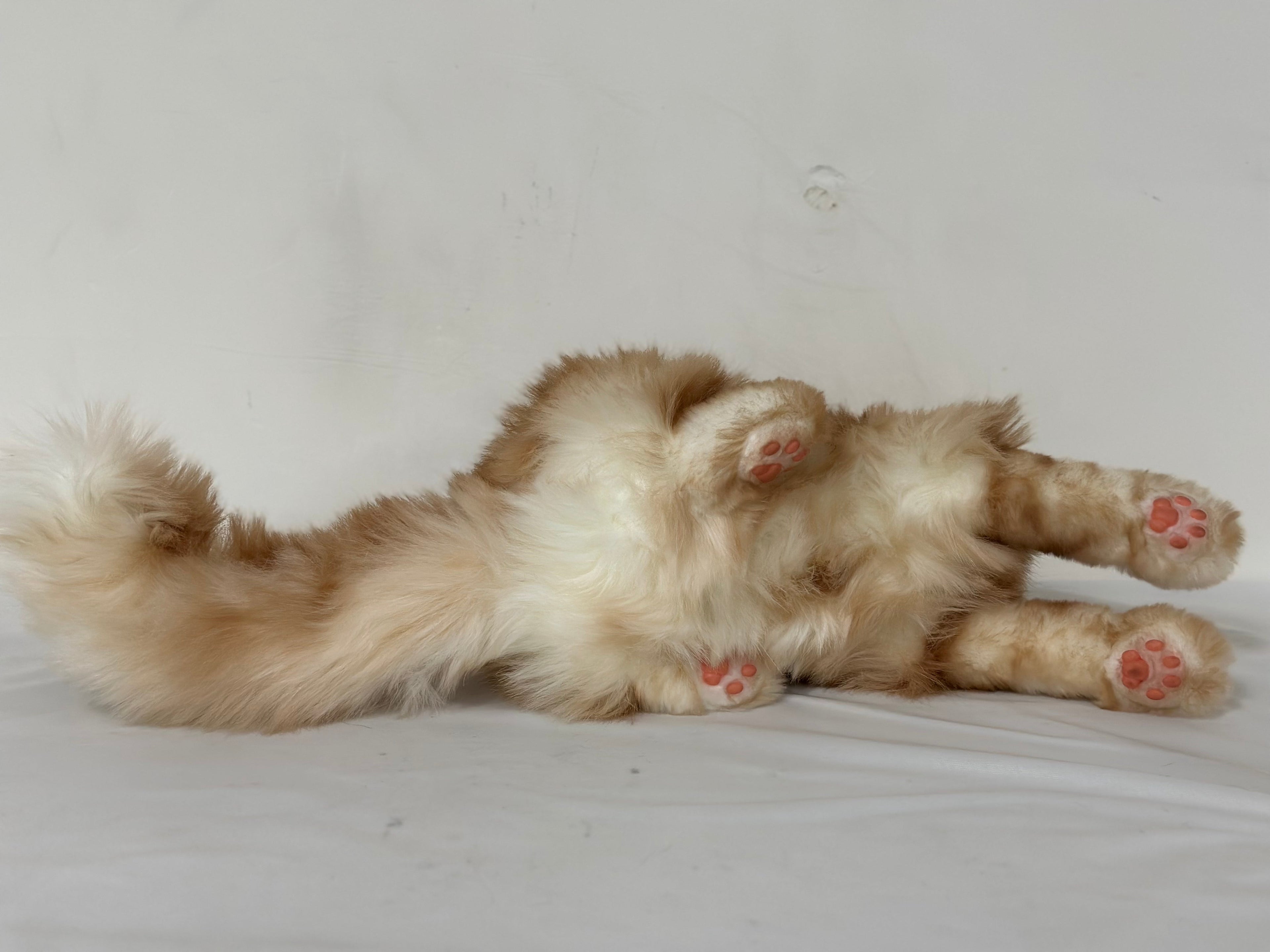 Plush Ginger Cat Longhair Weighted-Handmade Life-Size Companion & Pet Memorial