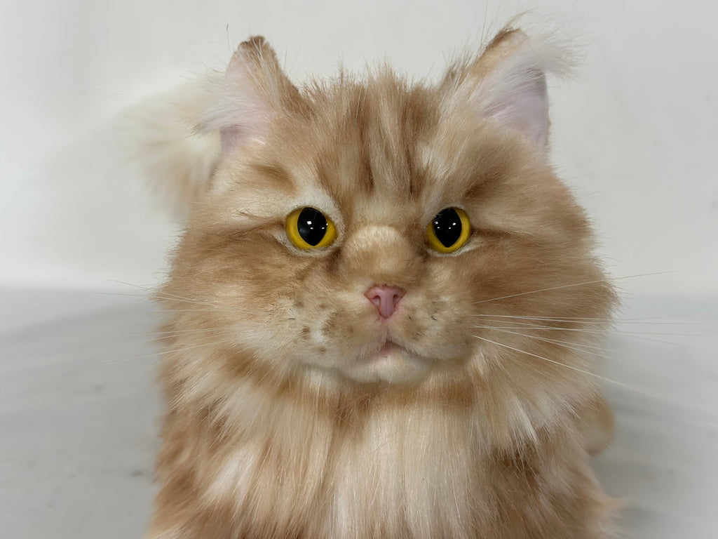 Plush Ginger Cat Longhair Weighted-Handmade Life-Size Companion & Pet Memorial