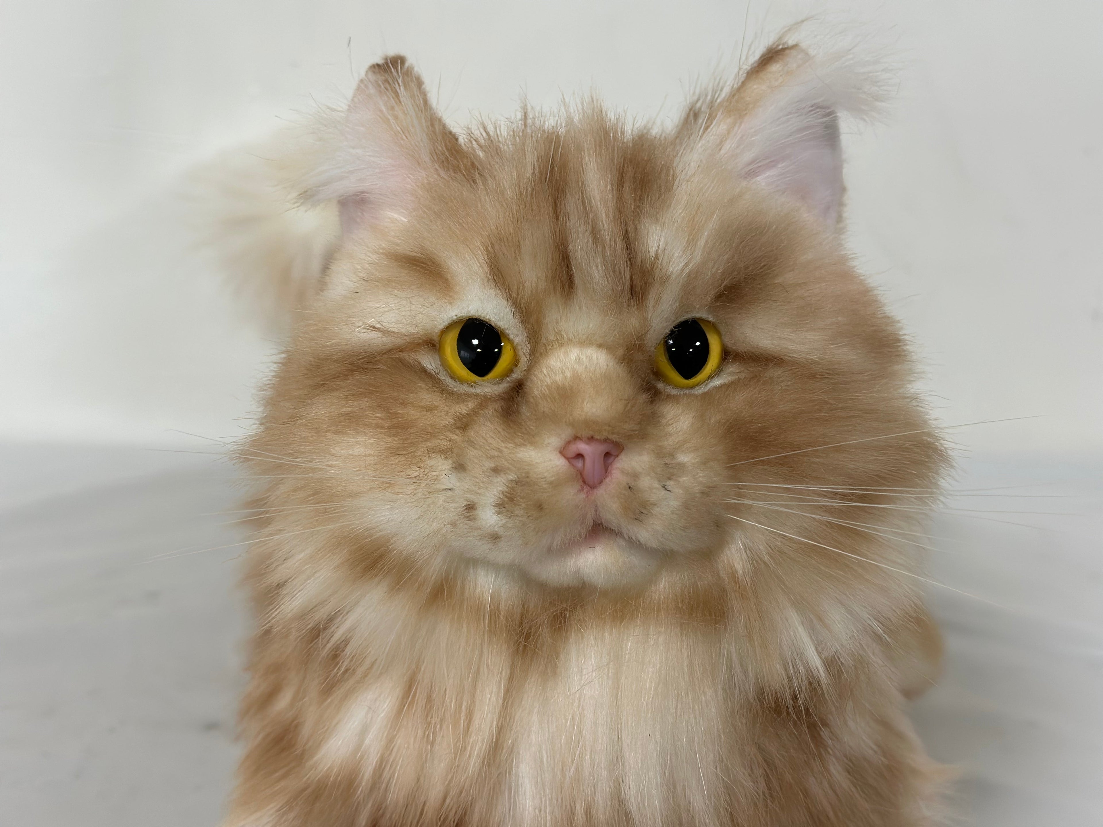 Plush Ginger Cat Longhair Weighted-Handmade Life-Size Companion & Pet Memorial