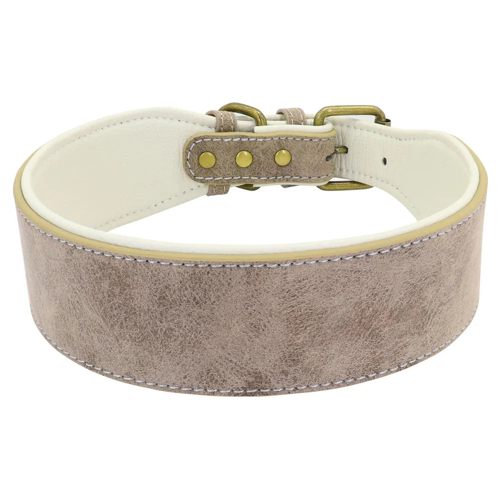 The Wide Luxe Collar - Padded Leather for Large Dogs