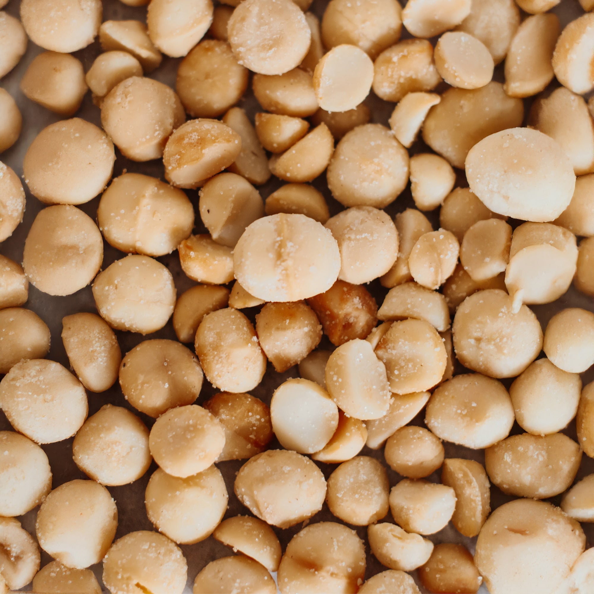 Dry Roasted Macadamia Nuts with Namibian Sea Salt (4oz x 6 Bags)