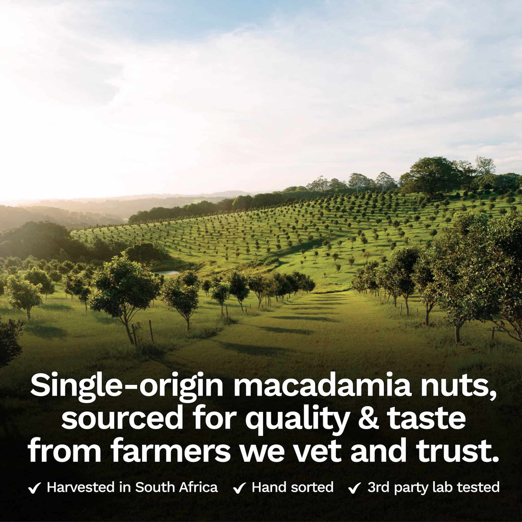 Raw Macadamia Nuts (2 lbs)