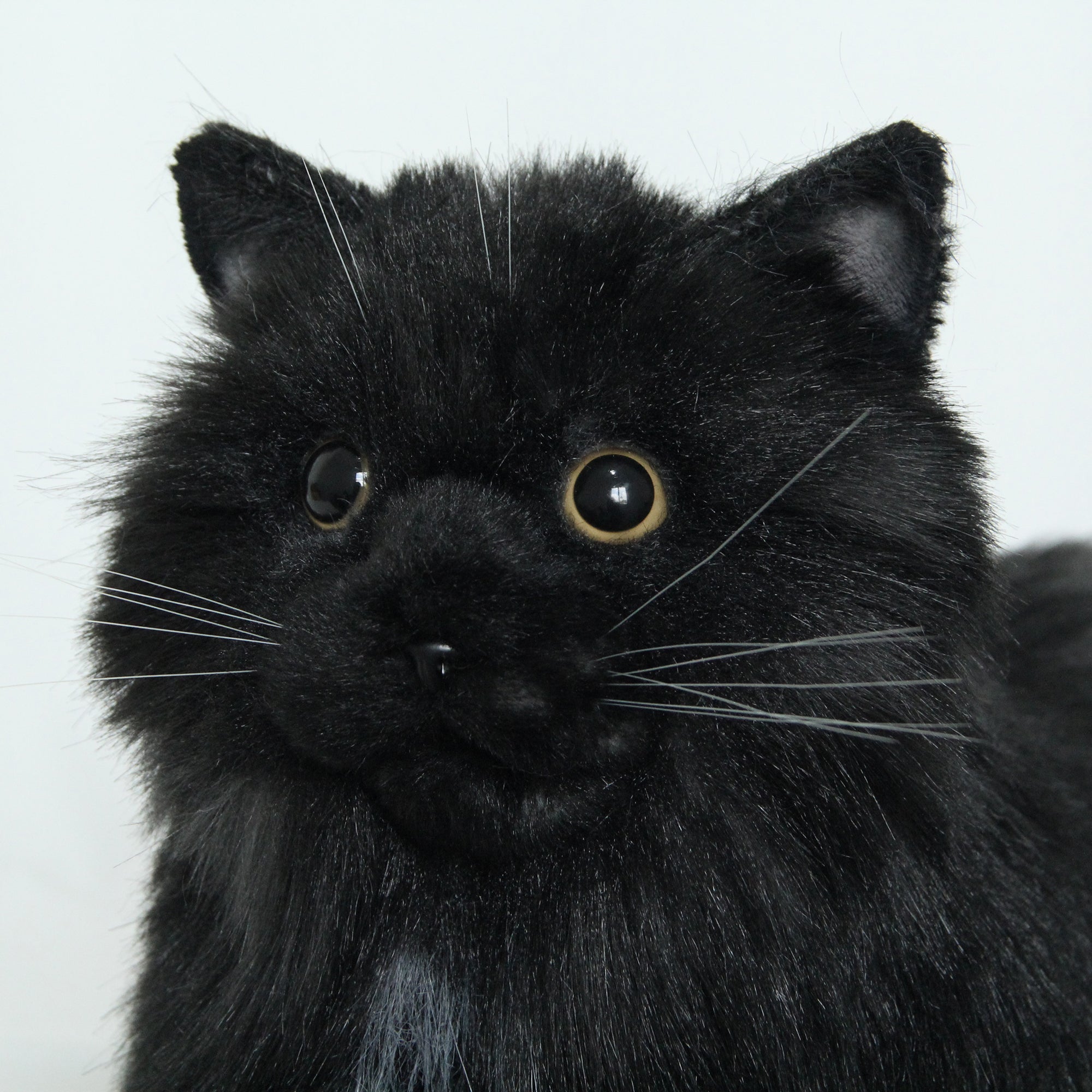 Fully Black Cat Longhair-Handmade Life-Size Companion & Pet Memorial