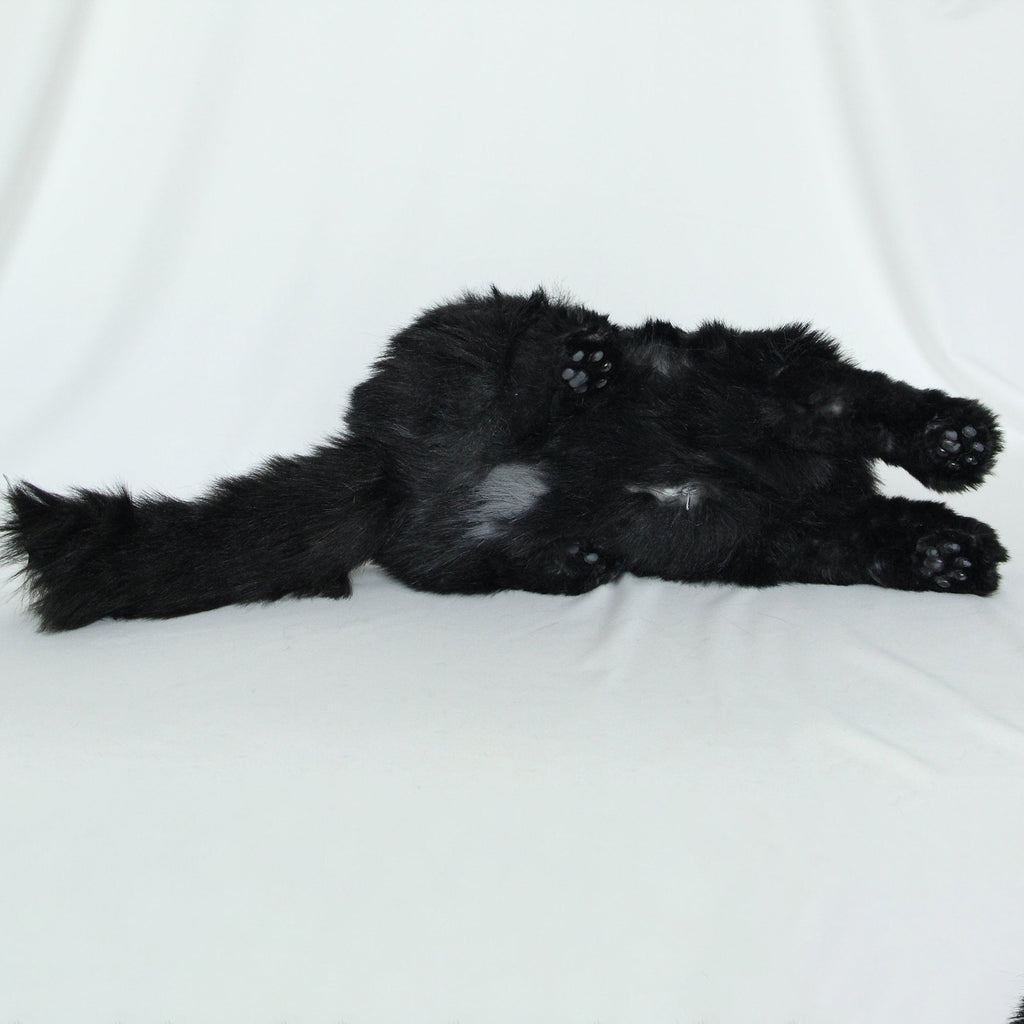 Fully Black Cat Longhair-Handmade Life-Size Companion & Pet Memorial