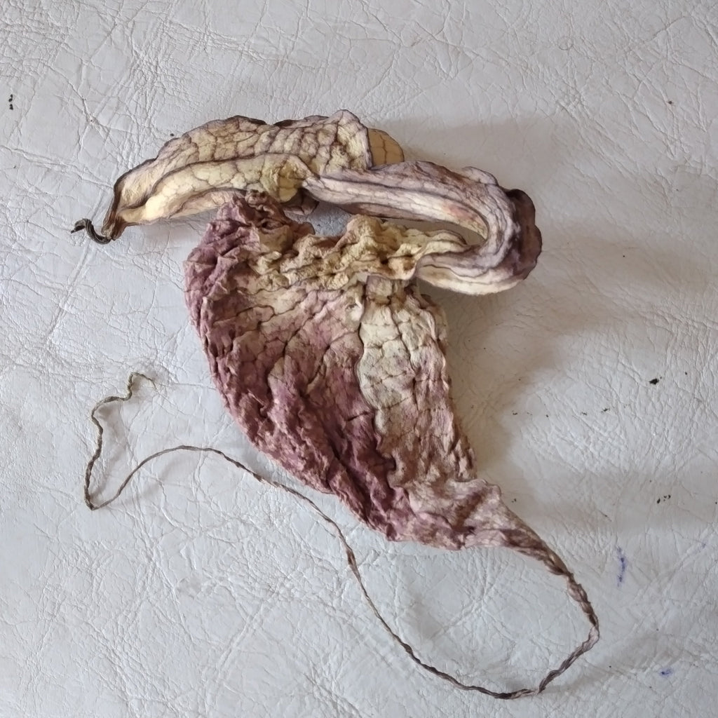 Duck Flower