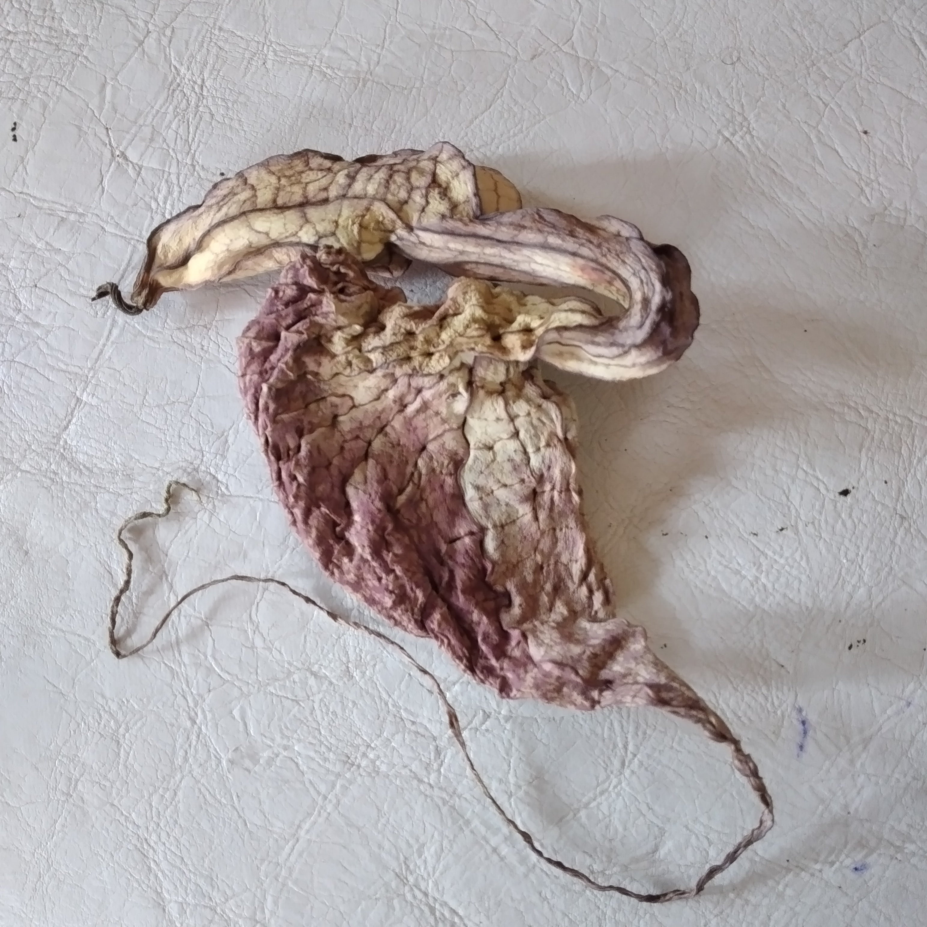 Duck Flower