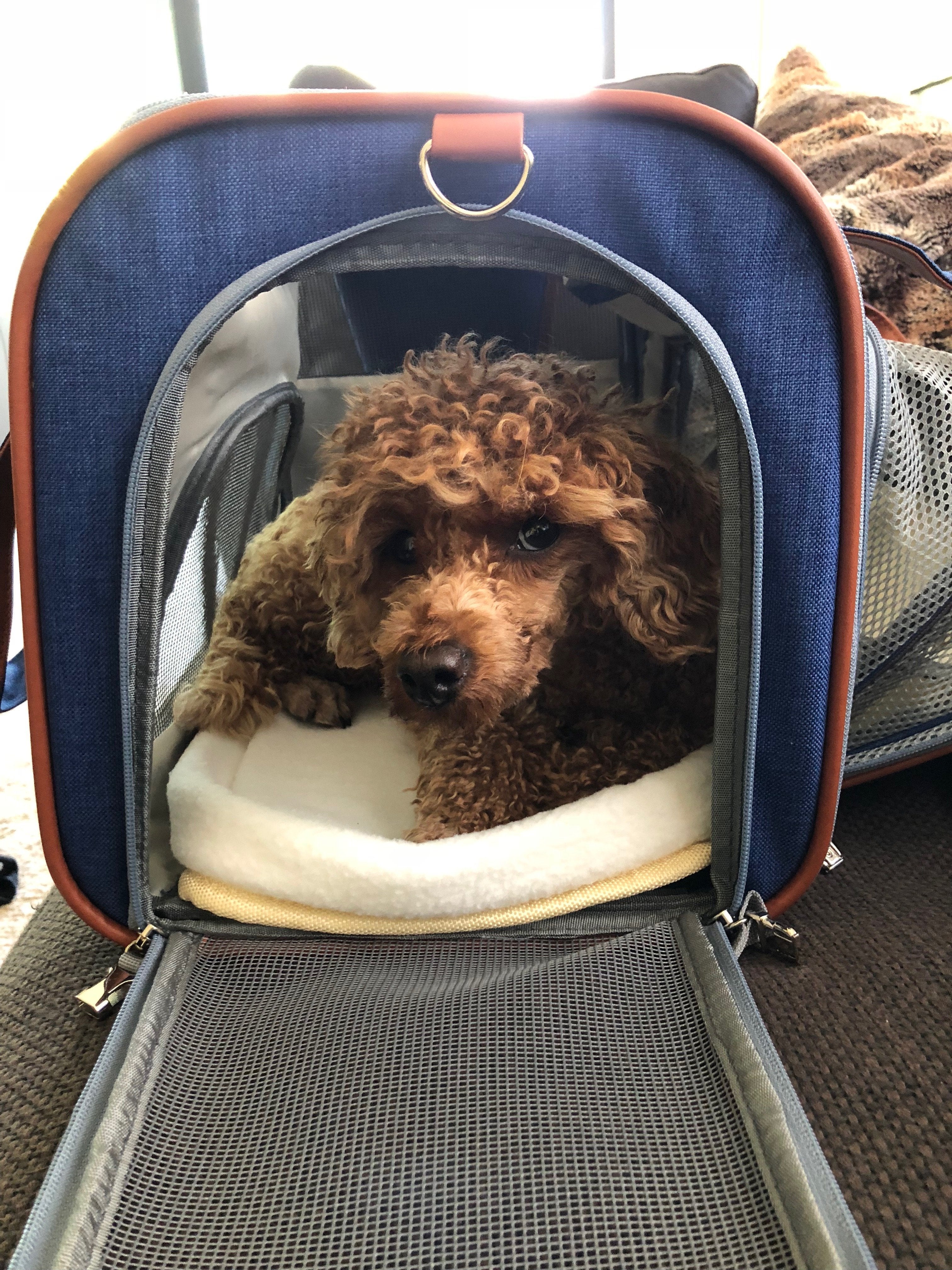 Mr. Peanut's Gold Series Big Apple XL Expandable Pet Carrier V2.0