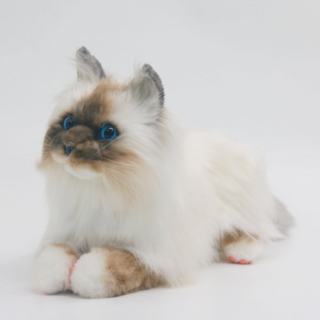 Plush Dog Stuffed Animal Brown Hair Cat with Blue Eyes Order to Make