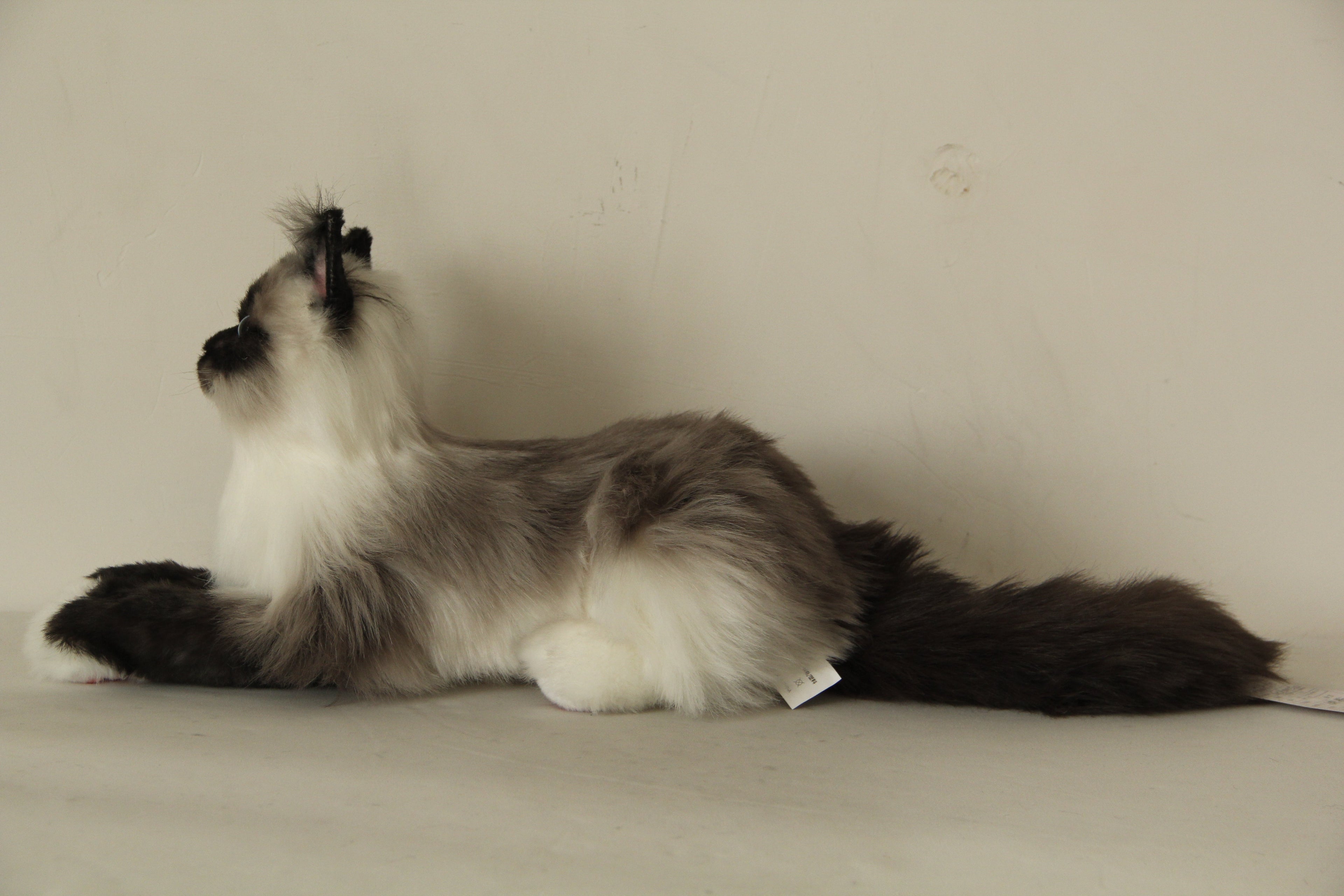 Plush Siamese Cat Longhair Weighted -Handmade Life-Size Companion & Pet Memorial