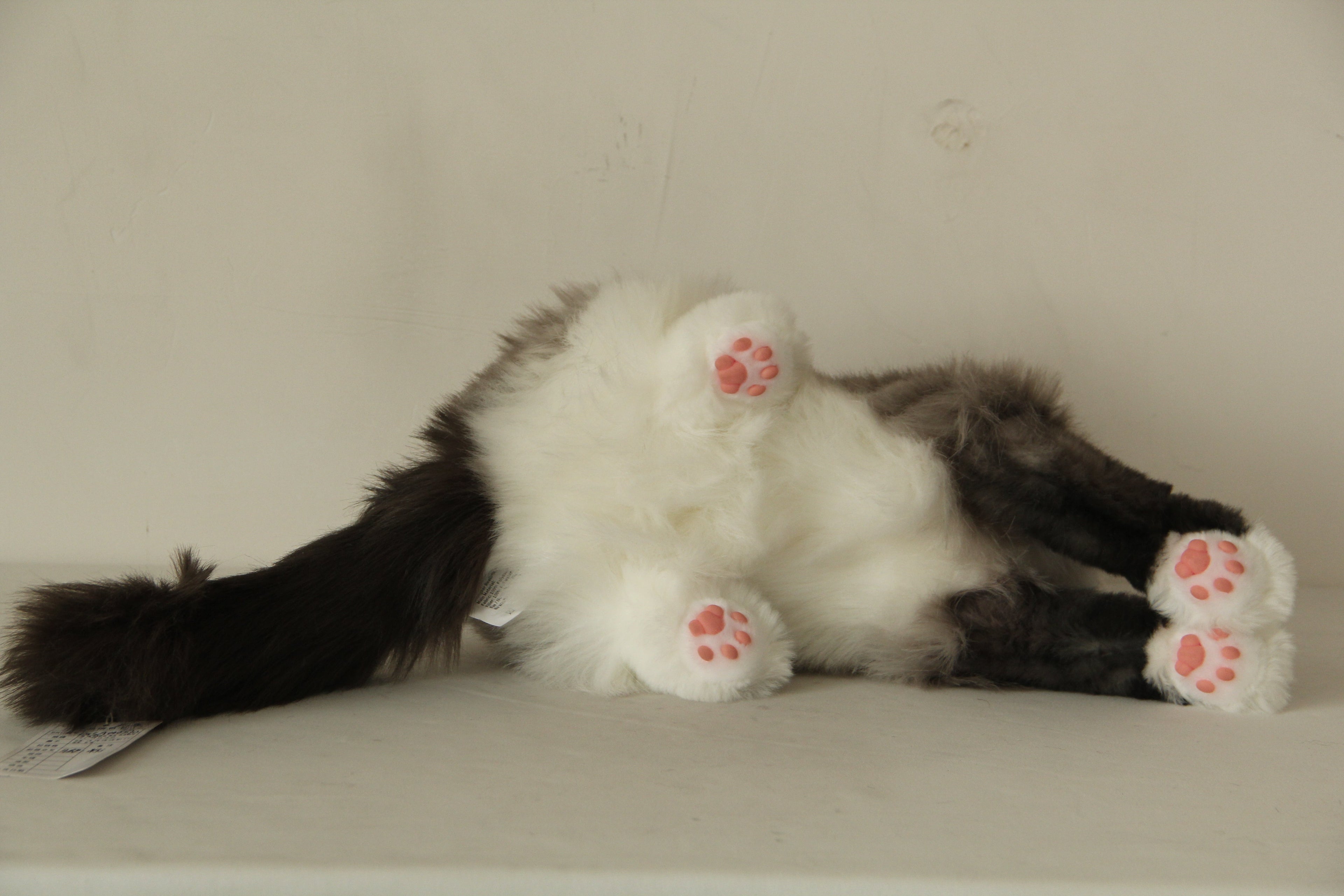 Plush Siamese Cat Longhair Weighted -Handmade Life-Size Companion & Pet Memorial