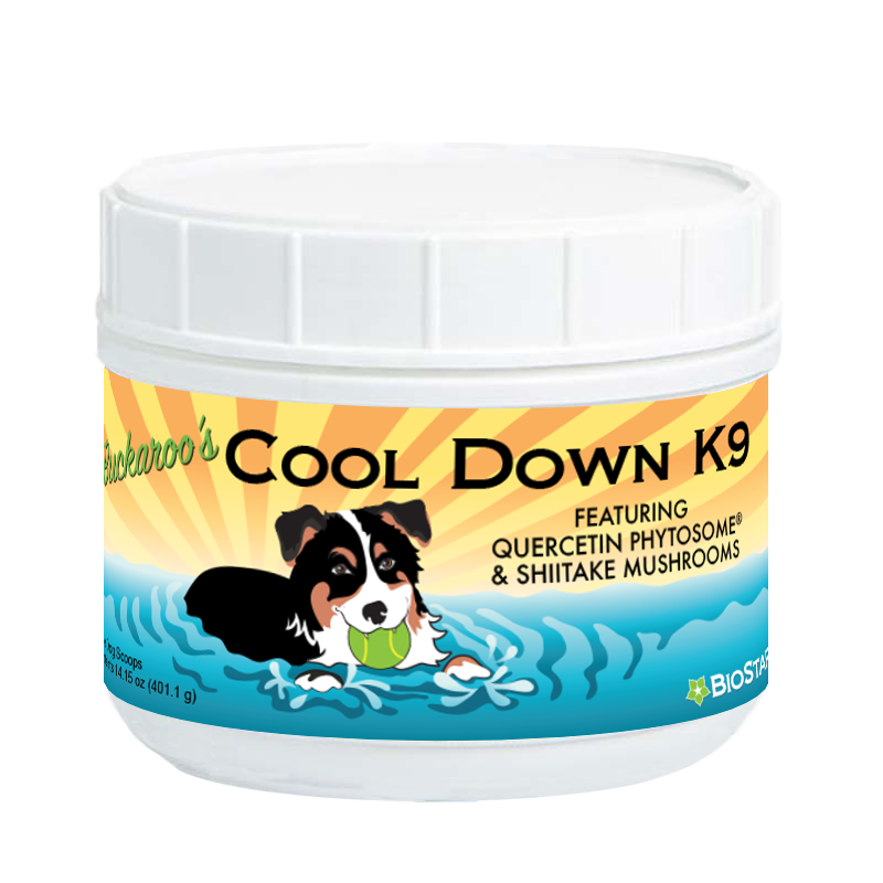 Buckaroo's Cool Down K9