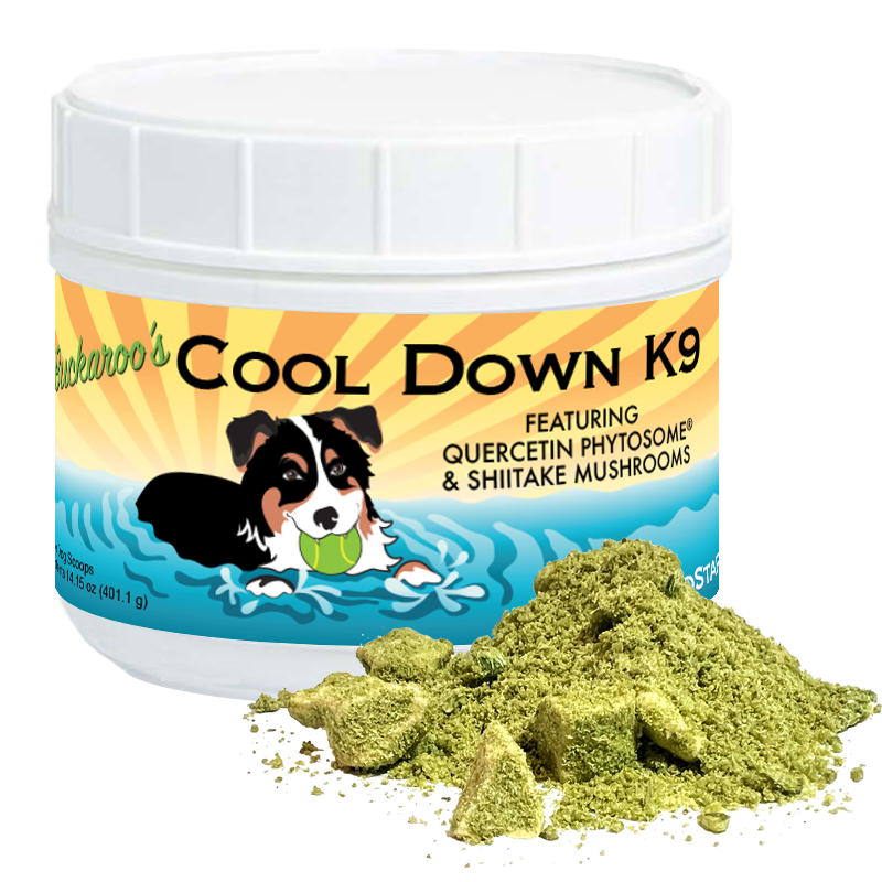 Buckaroo's Cool Down K9