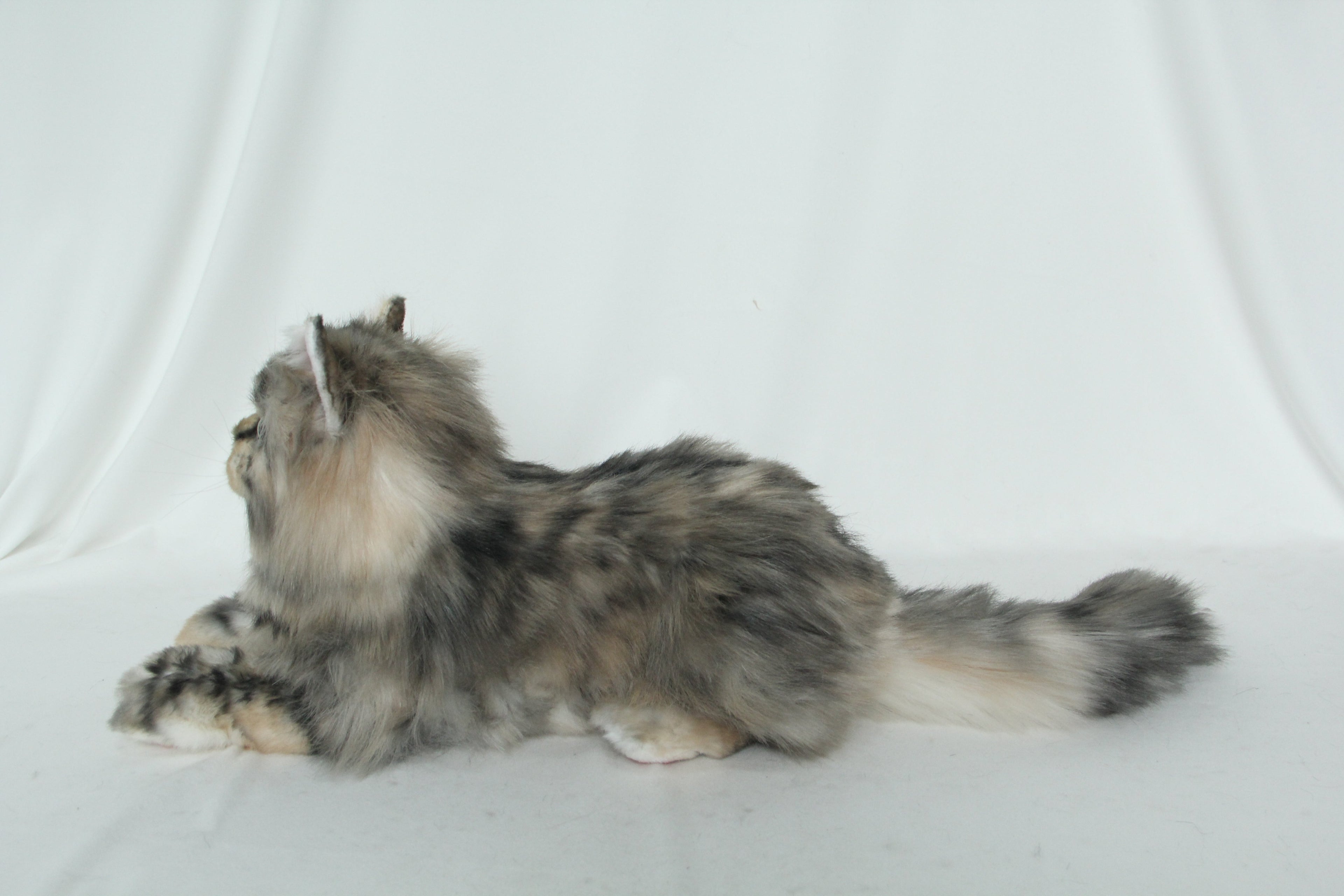 Plush Li-Hua Cat Longhair Order to Make
