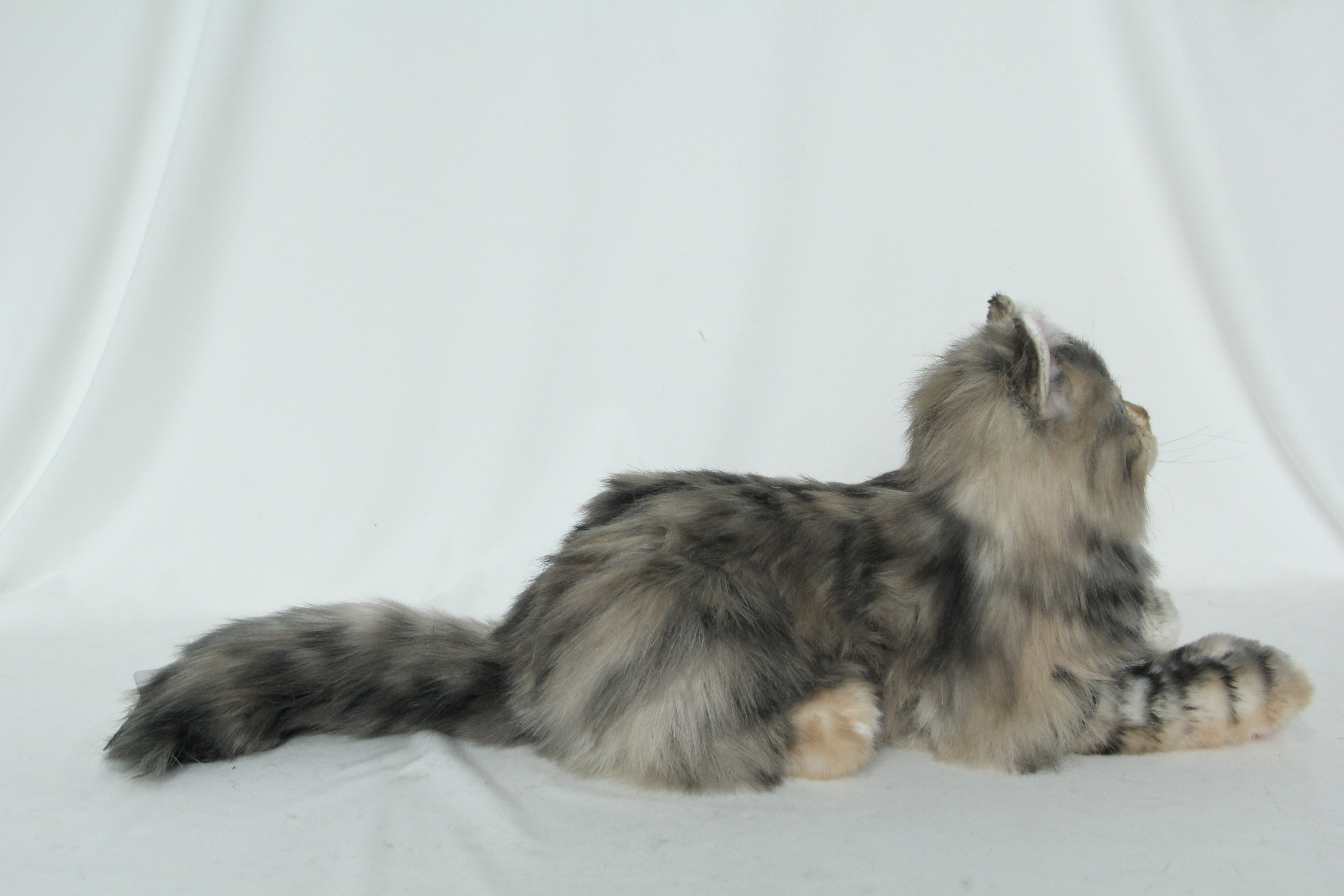 Plush Li-Hua Cat Longhair Order to Make
