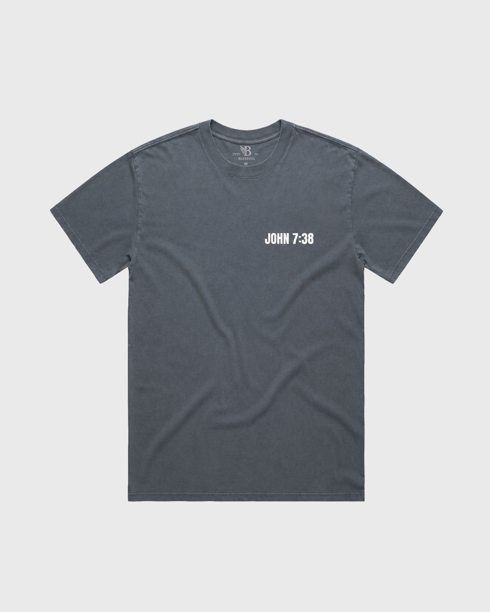 Men's Heavy Tee Oversized Living Waters