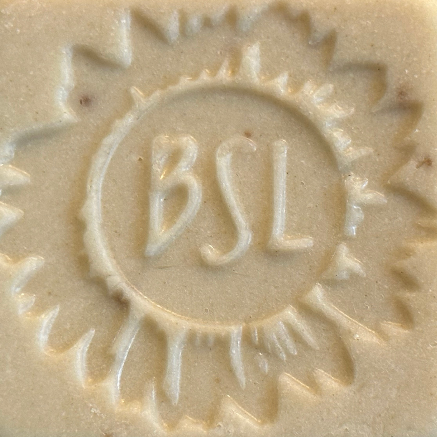 Rosemary Sage & Maca Root Shampoo Bar for Thinning Hair